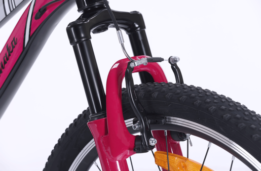 Dečiji bicikl Xplorer WANAKA Black-pink 24"
