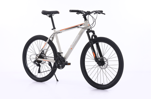 Xplorer MTB bicikl DENVER Sivi 26"