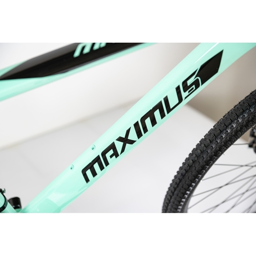 Winnerbike Bicikl 29"/21  maximus green Bck0951