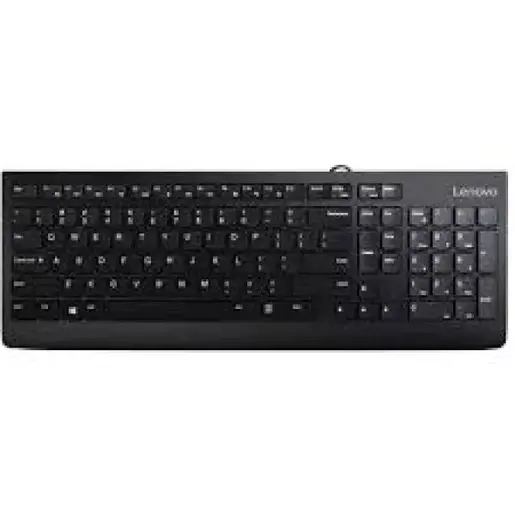 Tastatura žična Lenovo 300 US GX30M39655 crna