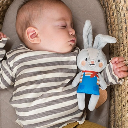 Taf Toys Rylee igračka za kolica 22114111