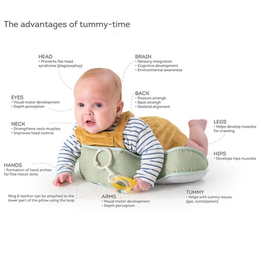 Taf Toys jastuk za bebe 114085