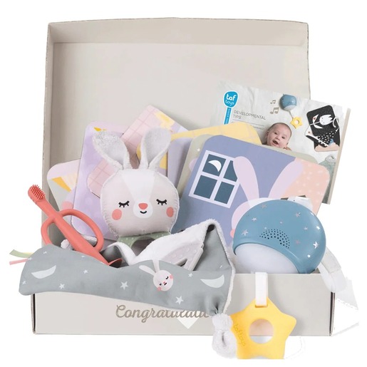 Taf Toys set za uspavljivanje 22114091