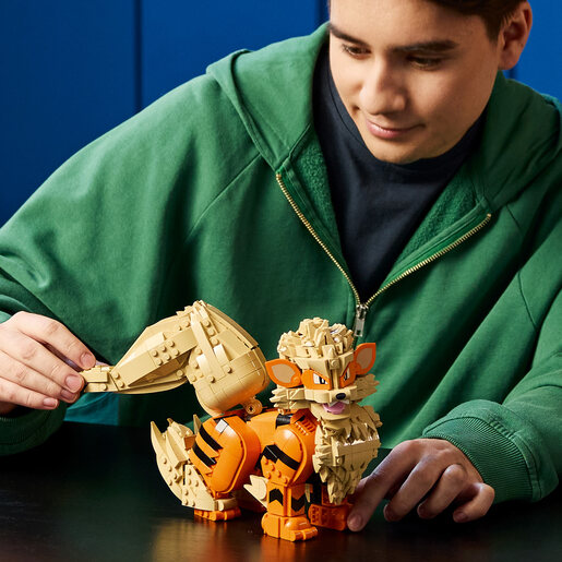 LEGO Arkenajn 72160