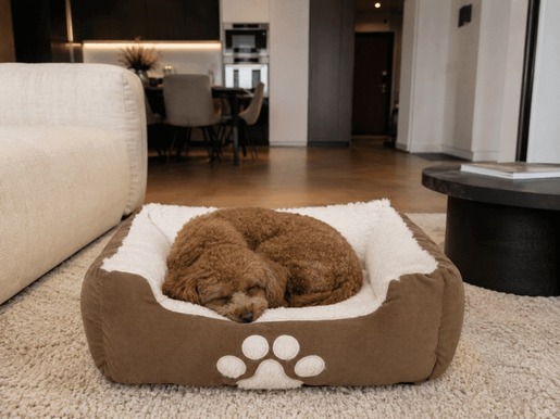 PET COMFORT Krevet za pse Braon 50 × 38 × 17 cm