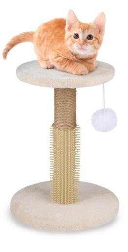 PET COMFORT Stub za grebanje za mačke sa četkom za češkanje bež 40 cm