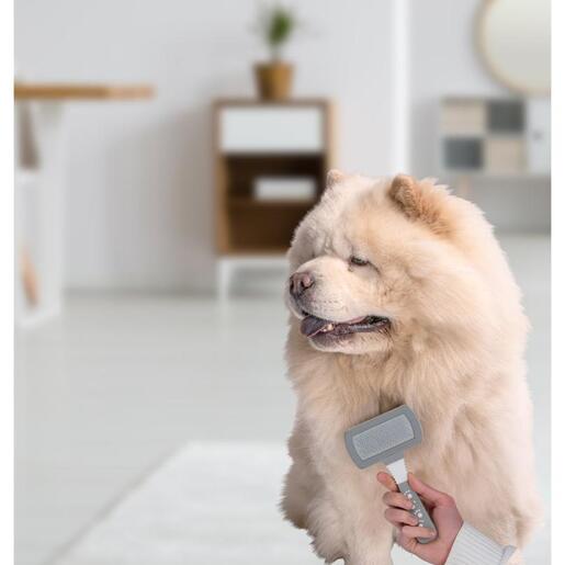 PET TREATMENT 2 u 1 četka za pse
