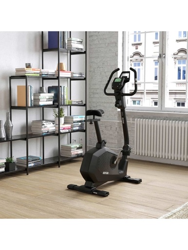 KETTLER Sobni bicikl RIDE 100 6 kg zamajac