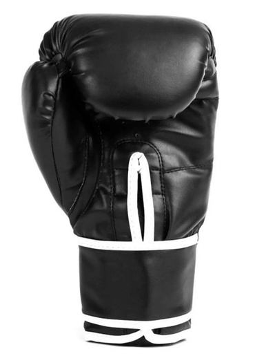 EVERLAST bokserske rukavice CORE 2