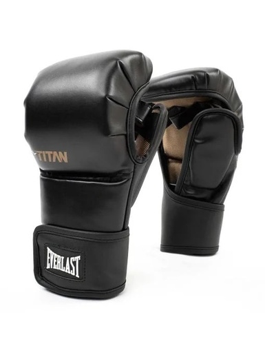 EVERLAST Rukavice za boks Titan Hybrid