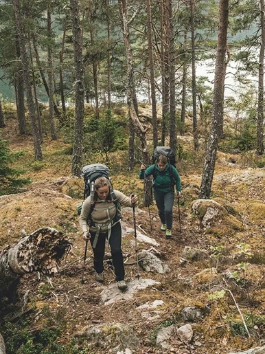 ROBENS Stapovi sklopivi Coniston T7