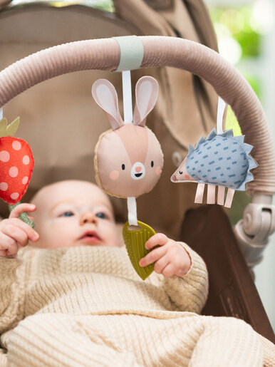Taf Toys MUZIČKI LUK ZA KOLICA 13415