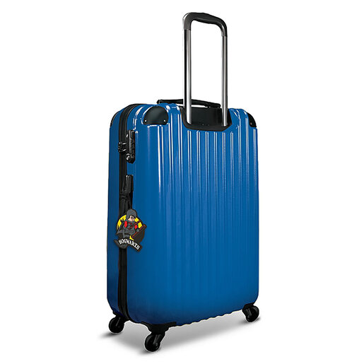 LEGO Hari Poter etiketa za prtljag: Hari Poter na kvidiču 53249