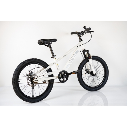 Winnerbike Bicikl 20/1-tn26q03-white Bck0954