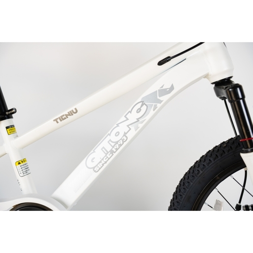 Winnerbike Bicikl 20/1-tn26q03-white Bck0954