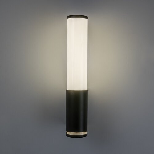 Rabalux kupatilska zidna lampa Tenoro 75103