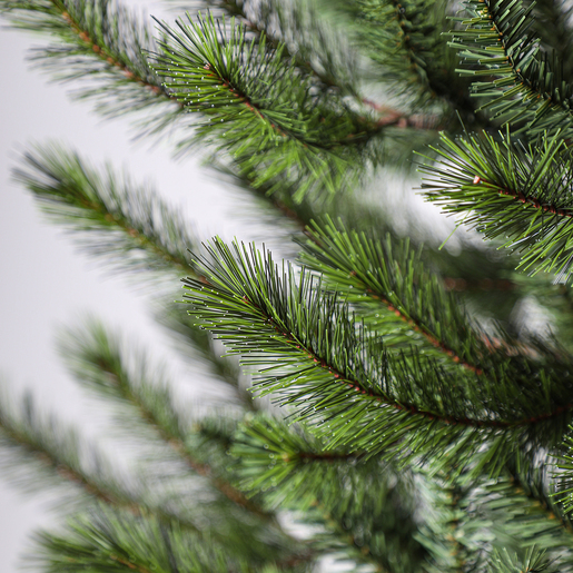 Novododišnja jelka Cedar Pine 240cm