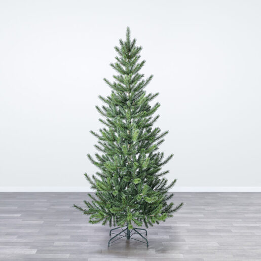 Novododišnja jelka Cedar Pine 240cm