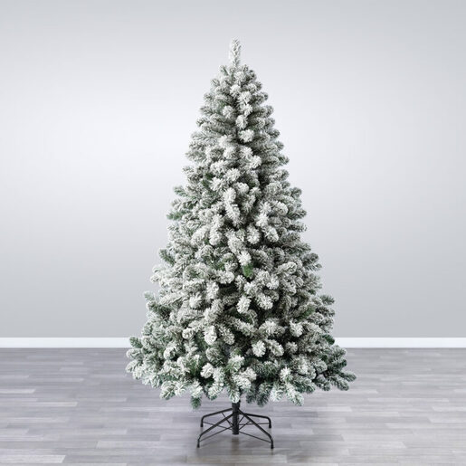 Novogodišnja jelka Snowy Oxford Pine 210cm