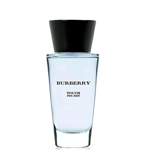 Burberry muški parfem Touch Eau de Toilette 100 ml