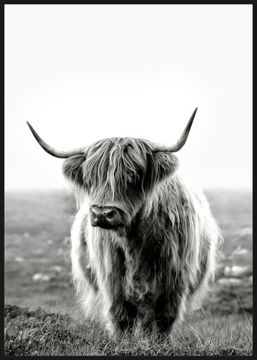 Dekordom Slika sa ramom 60x90 toir25624 - buffalo
