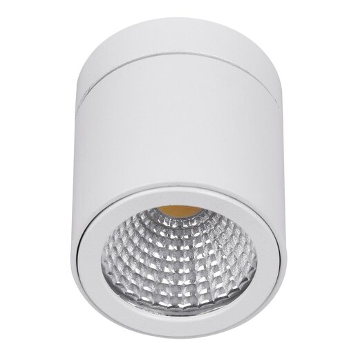 LED plafonska lampa LDA-07-3R W - 6000K