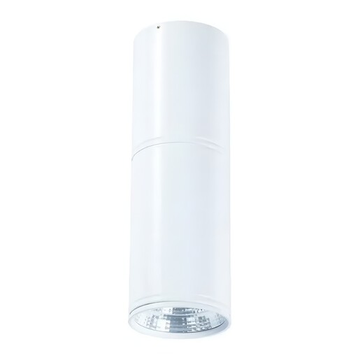 Forma LED plafonska lampa F2603-12C WH