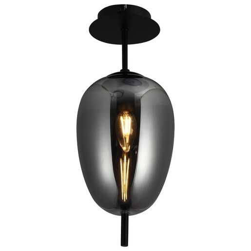 Forma Plafonska lampa F4014-1C BK+SM