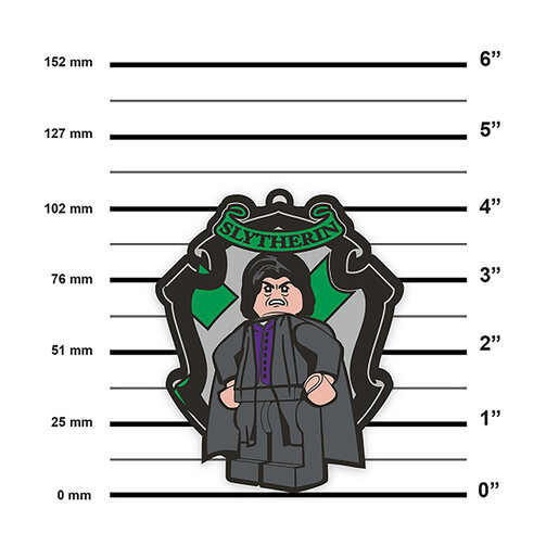 LEGO Hari Poter magent: Profesor Snejp 53281