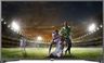 Vivax LED TV 43S60T2S2, Full HD