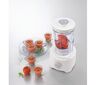 Kenwood multipraktik FDP301WH