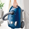 Electrolux usisivač EEG41CB