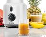 Gorenje blender B 501 LBW