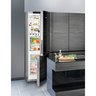LIEBHERR  frižider CBNPgb 4855 - Premium + Crno staklo
