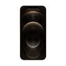 Apple iPhone 12 Pro Max 512GB Gold, MGDK3SE/A, mobilni telefon