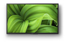 Sony LED TV KD32W800PAEP, HD, Smart Android