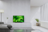 Sony LED TV KD32W800PAEP, HD, Smart Android