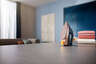 Philips pegla DST8050/20