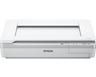 Epson dokument skener WorkForce DS-50000 A3