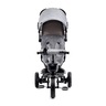 Kinderkraft tricikl AVEO 2u1 Grey (KKRAVEOGRY0000)