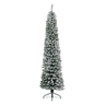 Jelka Pencil pine snowy, visina 300cm (68.4024)