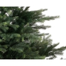 Jelka Grandis fir zelena, visina 240cm (68.1453)