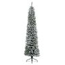 Jelka Pencil pine snowy, visina 150cm (68.4020)
