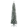 Jelka Pencil pine snowy, visina 240cm (68.4023)