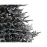 Jelka Grandis fir snowy, visina 180cm (68.9761)