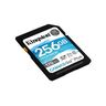 Memorijska kartica Kingston Canvas Go! Plus, SDXC, 256GB, R170/W90 MB/s, U3 (SDG3/256GB)