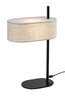 Rabalux Stone lampe Narmin 74241