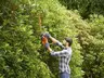 Black + Decker Makaze za živu ogradu BEHT251