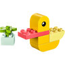 LEGO Moja prva patkica 30673