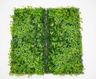 Bolzz ZELENI ZID 3D TARA 1 100X100 CM BOLZZIDTAR1